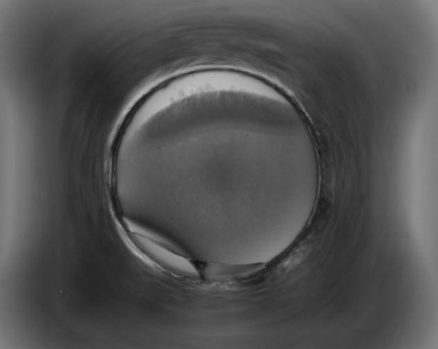 X0000086761519200705041438