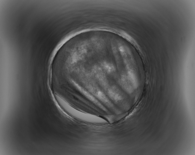 X0000086761520200705041438