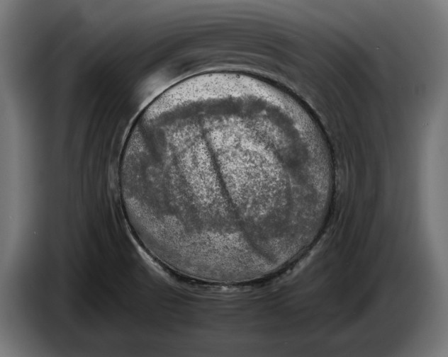 X0000086761521200705041438