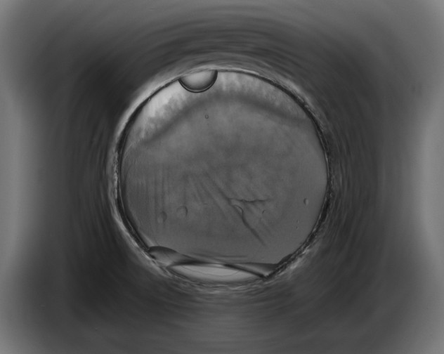 X0000086761522200705041438