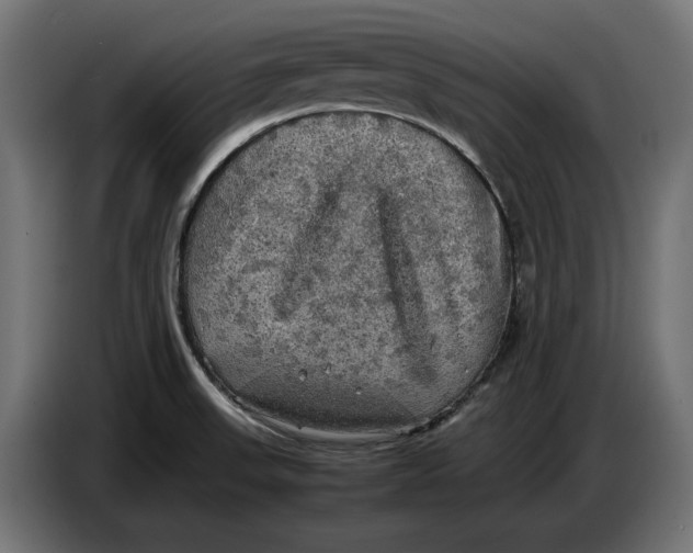 X0000086761523200705041438