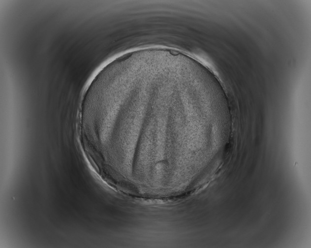 X0000086761524200705041438