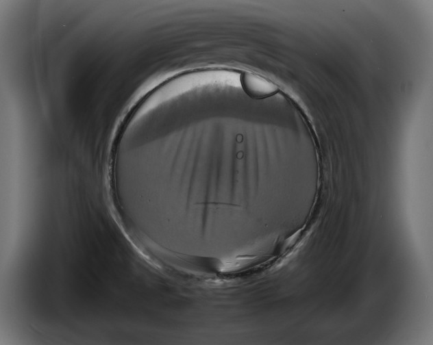 X0000086761525200705041438