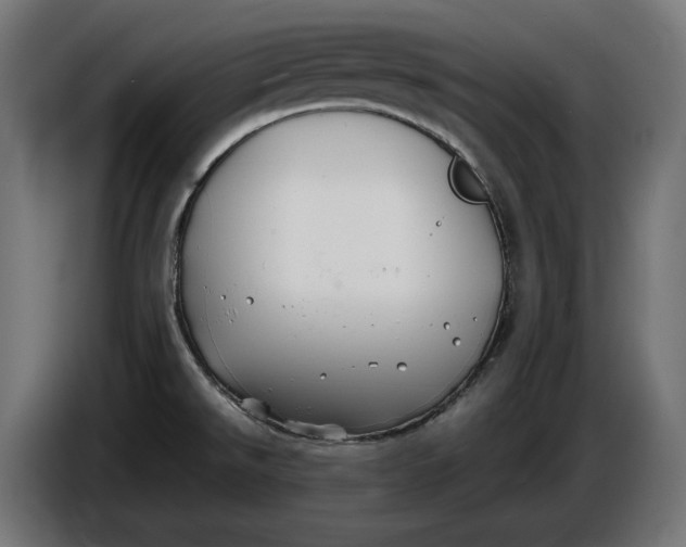 X0000086761526200705041438