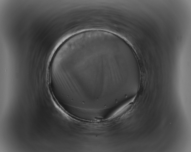 X0000086761527200705041438