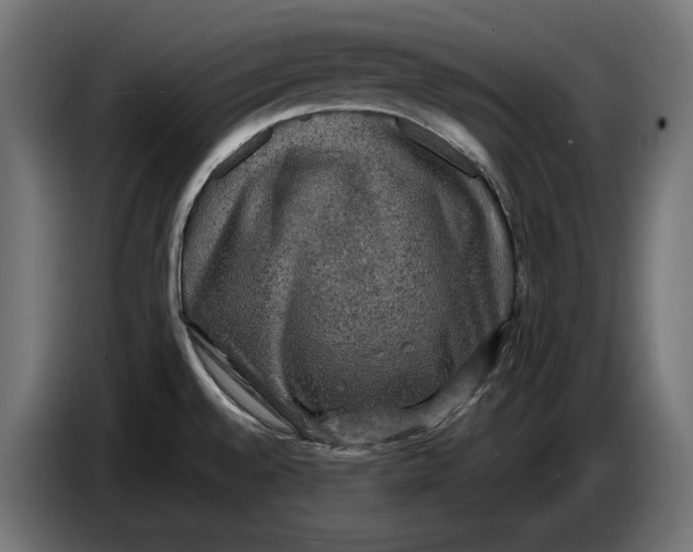 X0000086761528200705041438