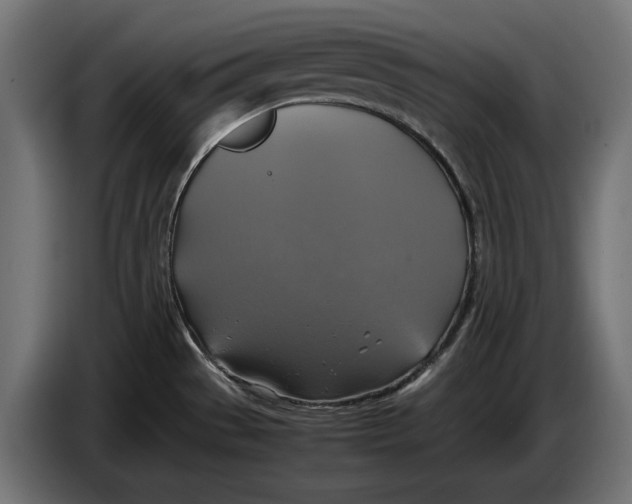 X0000086761529200705041438