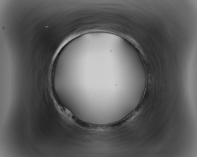 X0000086761530200705041438