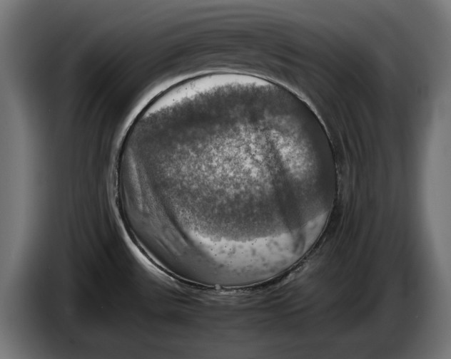 X0000086761531200705041438