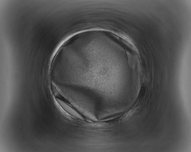 X0000086761532200705041438