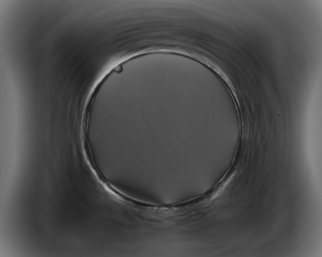 X0000086761533200705041438