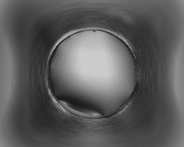 X0000086761534200705041438