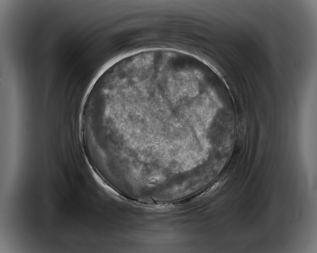 X0000086761535200705041438