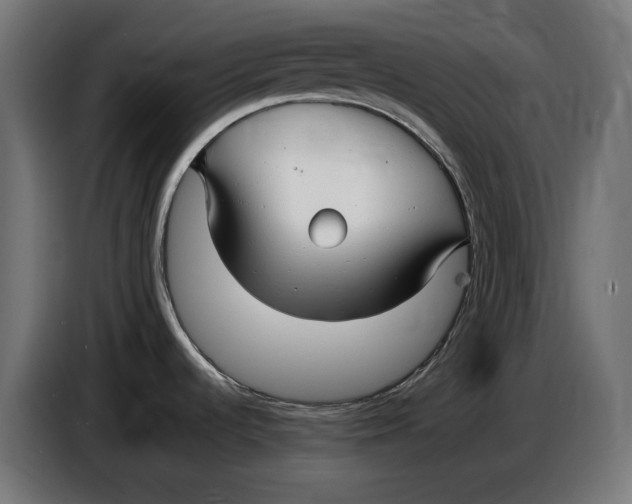 X0000086761536200705041438