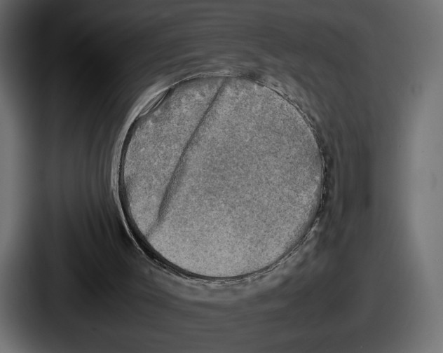 X0000086760003200705111724