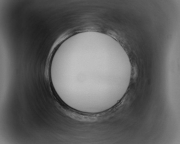 X0000086760004200705111724