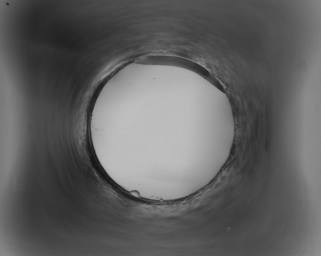 X0000086760005200705111724