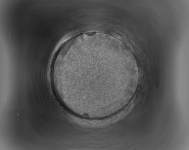 X0000086760006200705111724