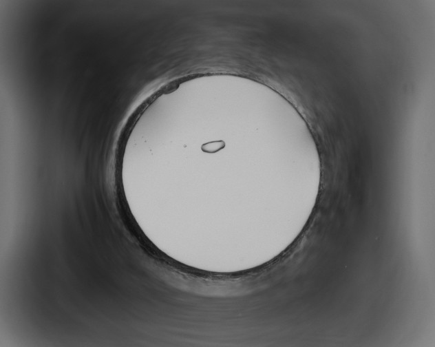 X0000086760008200705111724