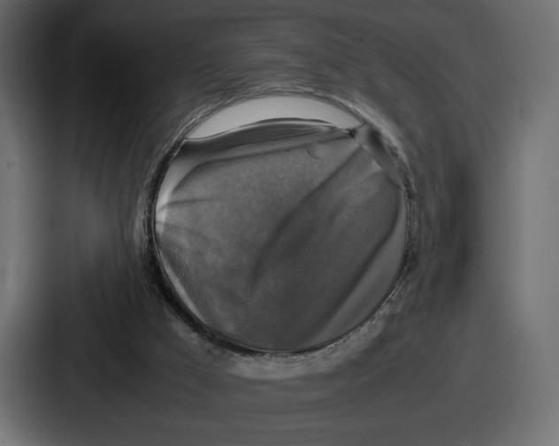 X0000086760009200705111724