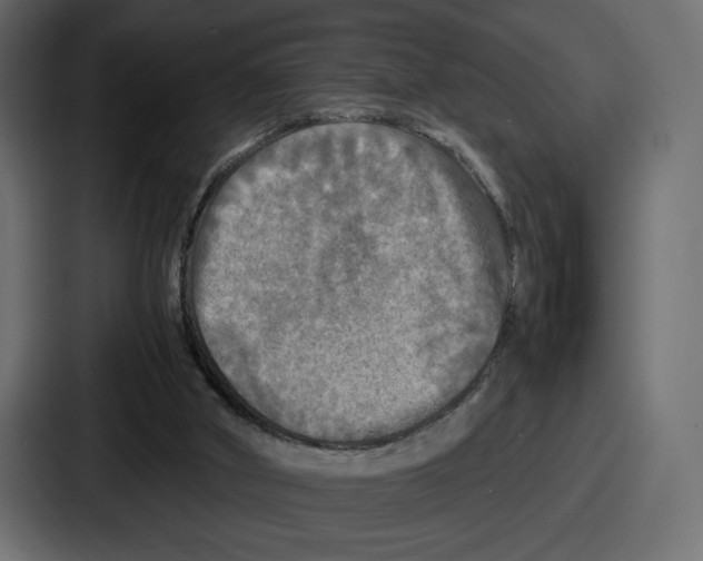 X0000086760010200705111724