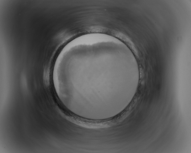X0000086760012200705111724