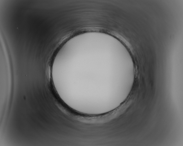X0000086760013200705111724