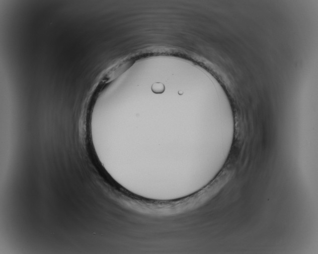 X0000086760015200705111724