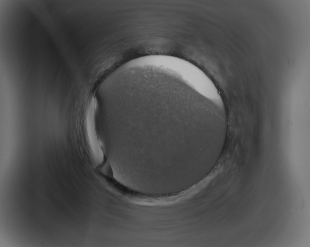 X0000086760017200705111724