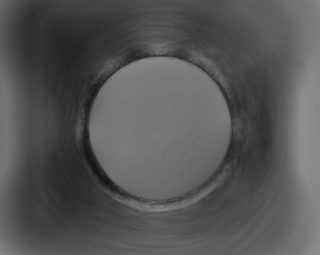 X0000086760018200705111724