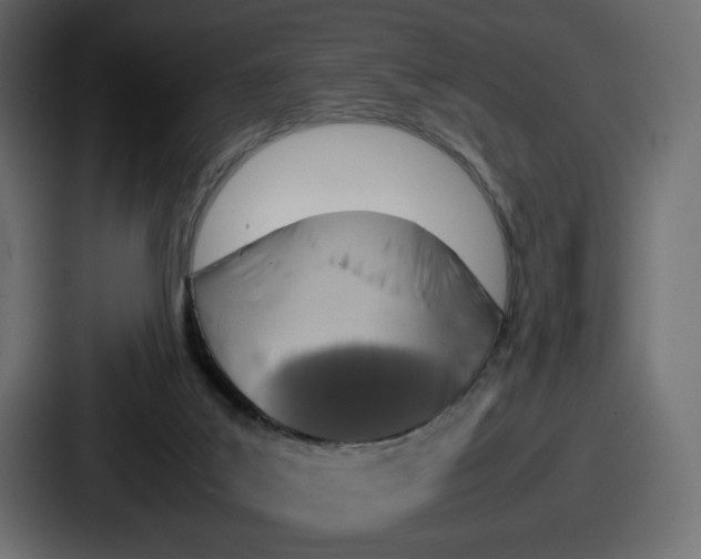 X0000086760019200705111724