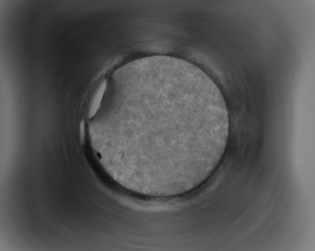 X0000086760020200705111724