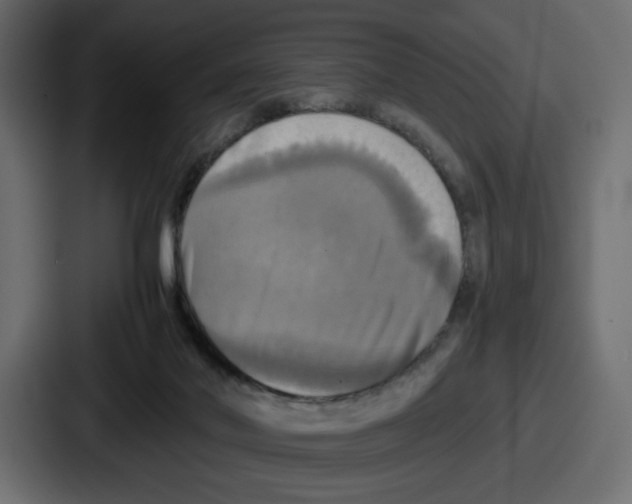 X0000086760022200705111724