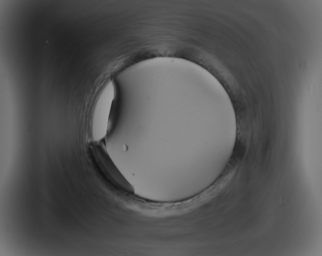 X0000086760023200705111724