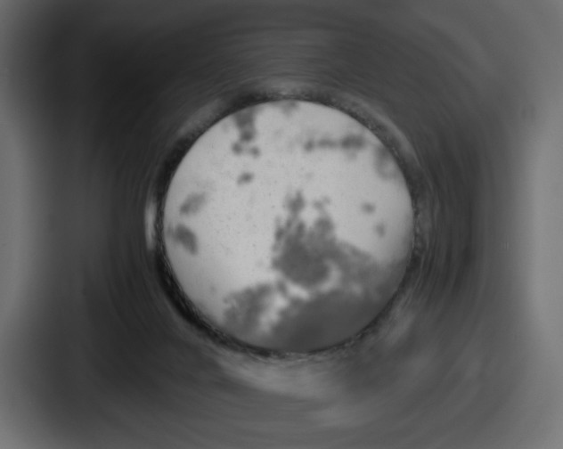 X0000086760024200705111724