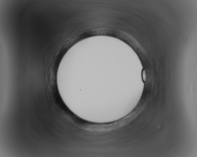 X0000086760025200705111724