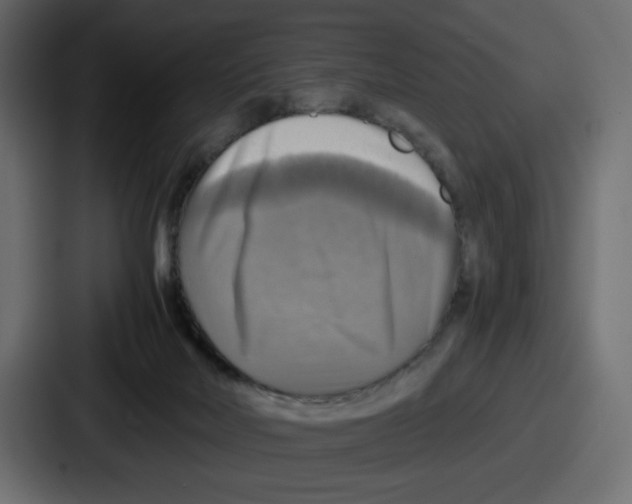 X0000086760026200705111724