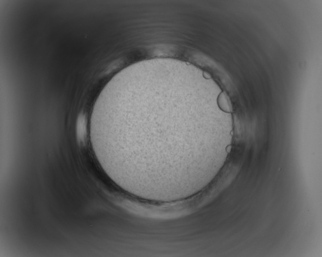 X0000086760028200705111724