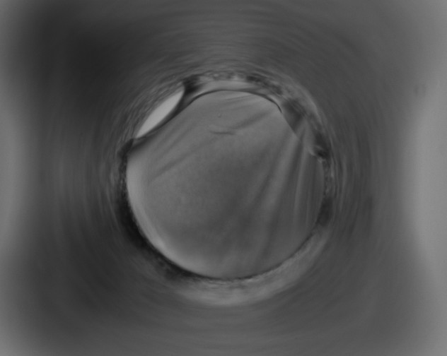 X0000086760029200705111724