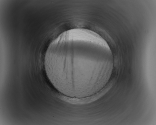 X0000086760030200705111724