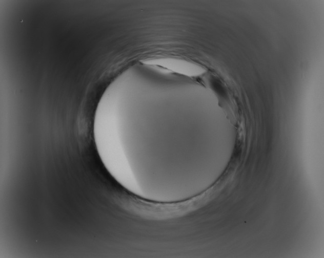 X0000086760031200705111724