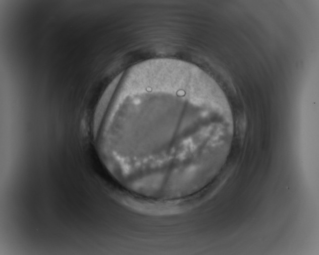 X0000086760032200705111724