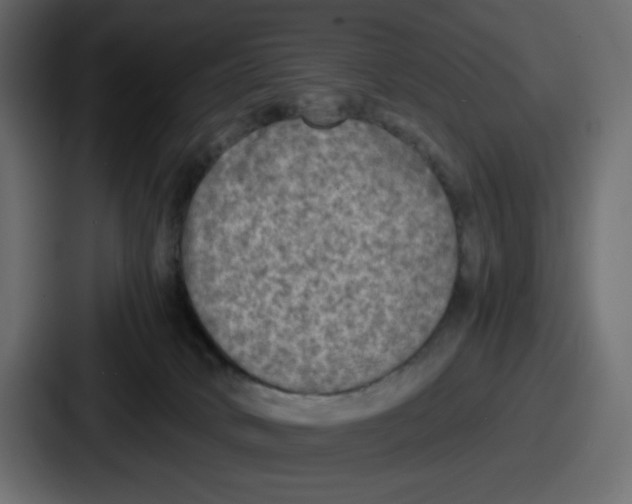 X0000086760034200705111724