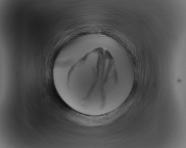 X0000086760035200705111724