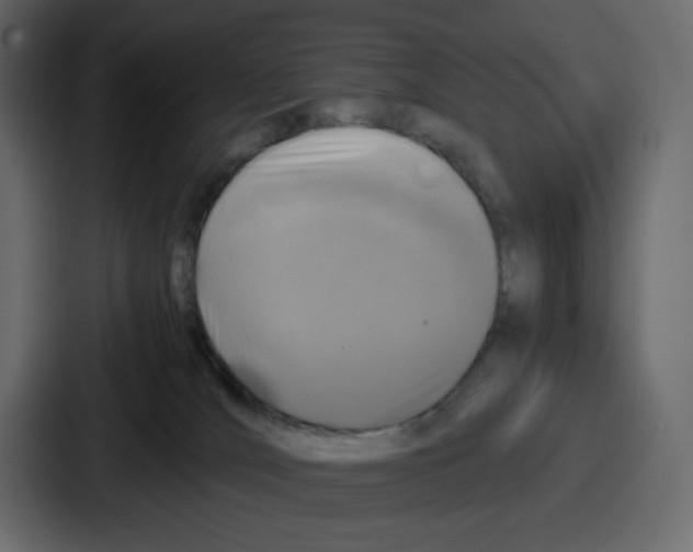 X0000086760036200705111724