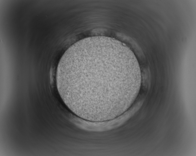 X0000086760038200705111724