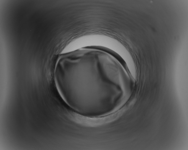 X0000086760039200705111724
