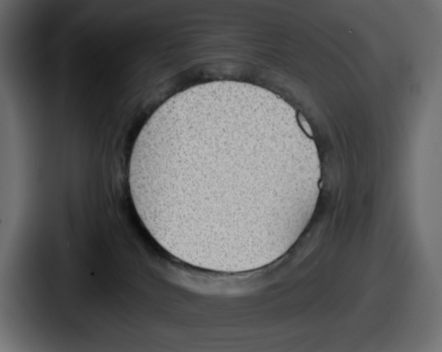 X0000086760040200705111724