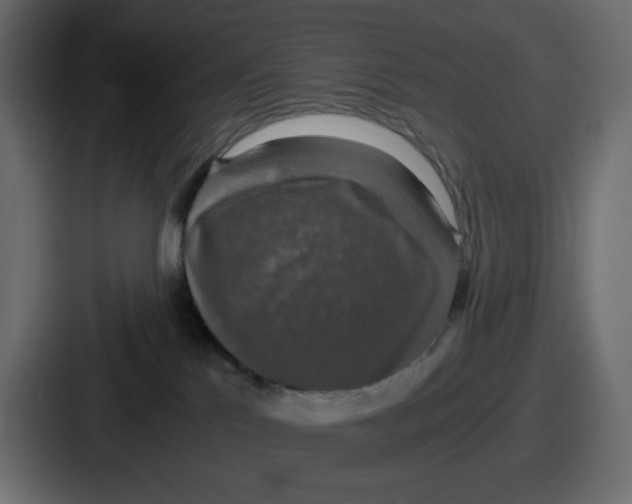 X0000086760041200705111724