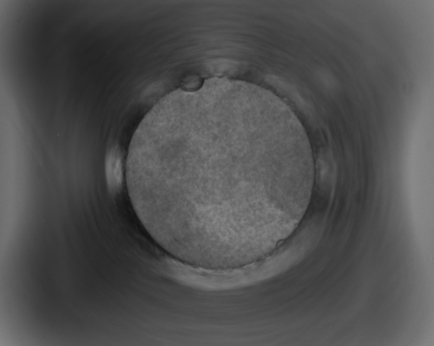 X0000086760042200705111724